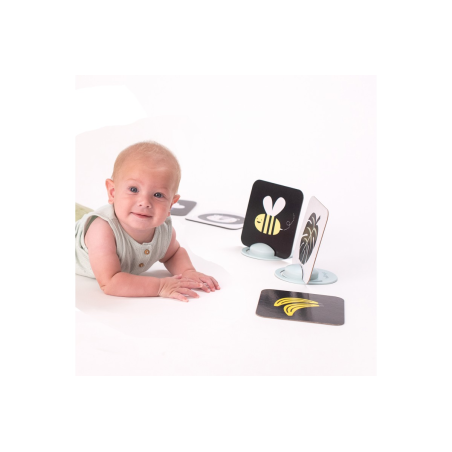 Παιχνίδι Δραστηριοτήτων Taf Toys My 1st Tummy-Time Cards  T-12835