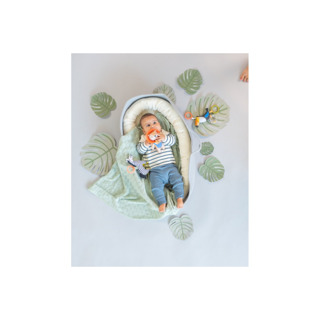 Κουδουνίστρα Taf Toys Tuki The Tuccan T-12695