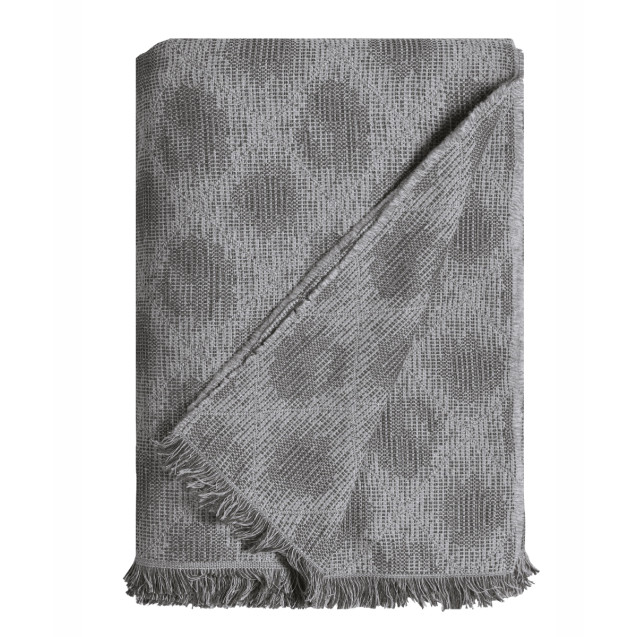 Ριχτάρι Διθέσιου Kentia Harvest 22 180x240