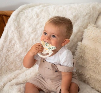 Είδη Βρεφανάπτυξης